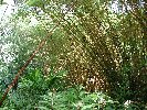 HawSlides28min.jpg (9183 bytes)